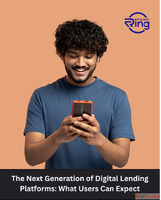 The Next Generation of Digital Lending Platforms What Users ...