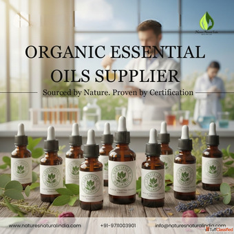 Trusted Essential Oil Supplier for Pure and High-Quality Oils