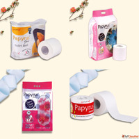 Premium Toilet Paper Rolls for Homes Hotels Bulk Supplier