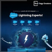 Salesforce Lightning Consultant and Development Company