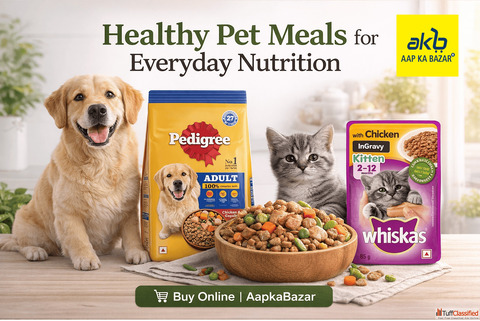 Healthy Pet Snacks Your Pets Will Love