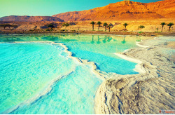 Check Israel Visa Status Online India to Israel Visa Applica...