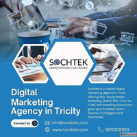 Your Growth Partner Leading Digital Marketing Agency in Tric...
