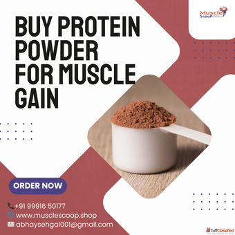 Authentic Gym Nutrition - Buy Protein Powder for Muscle Gain