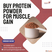 Authentic Gym Nutrition - Buy Protein Powder for Muscle Gain