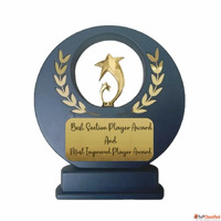 Gold Star Achievement Award