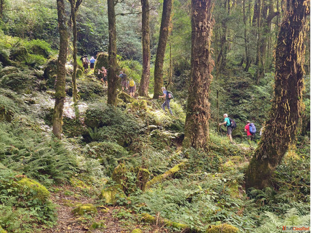 5K Treks Pvt Limited