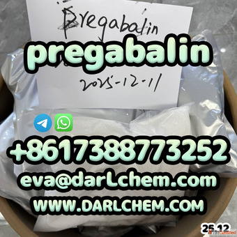 otropics prega-balin powder 99