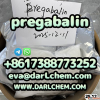 otropics prega-balin powder 99