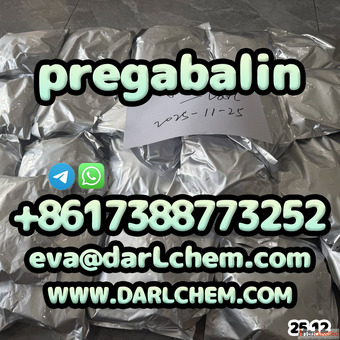 otropics prega-balin powder 99