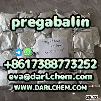 otropics prega-balin powder 99