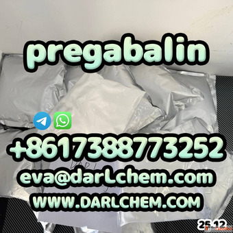 otropics prega-balin powder 99