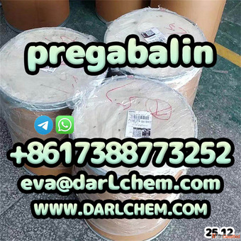 darl 99 prega-balin powder Salt