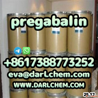 darl 99 prega-balin powder Salt