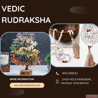 Nepali Rudraksha Buy Online Authentic Mala Necklace Sale Guide