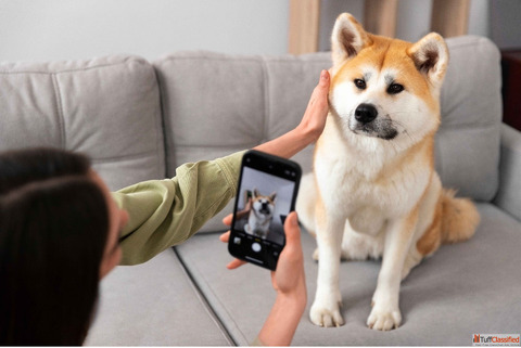 How Pet Care Apps Help Pet Owners - Smarter Pet Parenting Made Easy