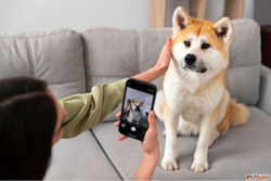 How Pet Care Apps Help Pet Owners - Smarter Pet Parenting Ma...