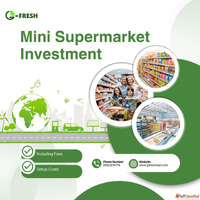 In What Way Does Mini Supermarket Investment Rely Less on Hi...
