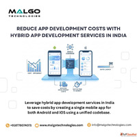 Save Time Money with Hybrid App Development Services in Indi...