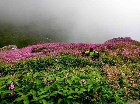 Hampta Pass Trek Detailed Itinerary