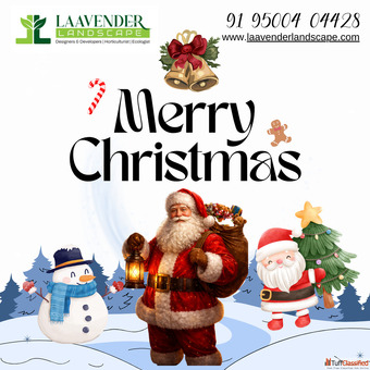 Garden Maintenance Services in Chennai - Laavender Landscape