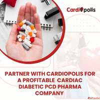 Top Rated Cardiac Diabetic PCD Pharma Franchise