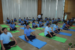 Best Corporate Yoga Classes in Noida for Employee Health