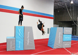 Professional Parkour Training in Noida for Strength Speed