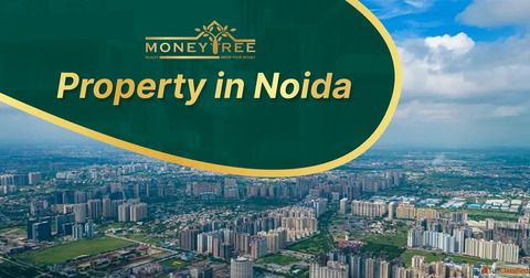Invest in Property in Noida for Long-Term Growth