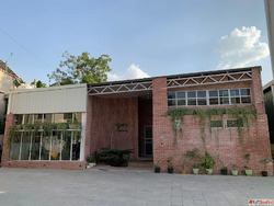 Creative Branding Solutions That Make Brands Unforgettable