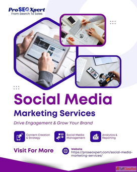 Grow Your Audience and Brand with Expert Social Media Marketing