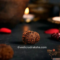 Buy Natural Rudraksha Beads Online Authentic Spiritual Treas...
