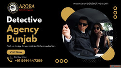 Arora Detective Agency Surveillance Services