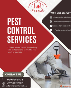 anti termite control