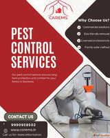anti termite control