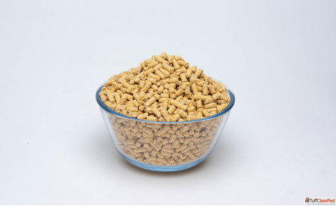 Complete Guide to Cattle Feed Manufacture in India RGS Feeds