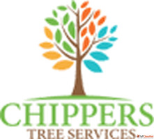 Emergency Tree Removal Dallas