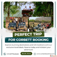 Bijrani Safari Zone Ultimate Guide to Corbett Booking Magic