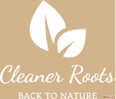 Cleaner Roots Ayurvedic Haircare - Dosha-Based Scalp Solutio...