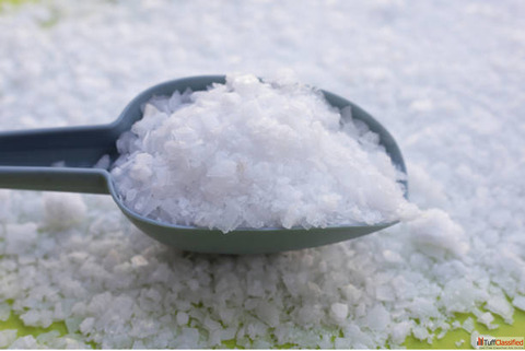 Leading caustic soda flakes exporters from India Shiva Vertex