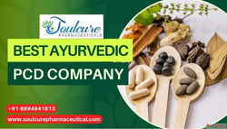 Best Ayurvedic PCD Company in India