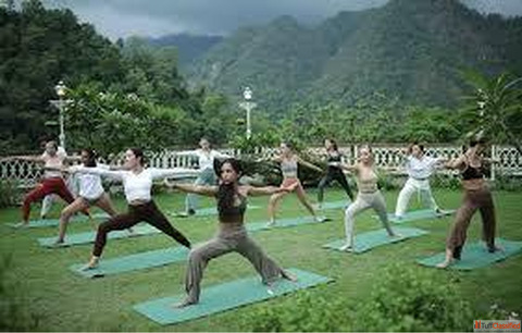 200 hour yoga ttc in rishikeshIgnite Your Yoga Passion