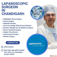 Highly qualified and experienced Laparoscopic Surgeon in Cha...