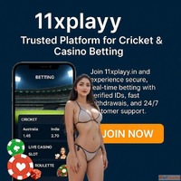 11xPlay Betting ID WhatsApp Number