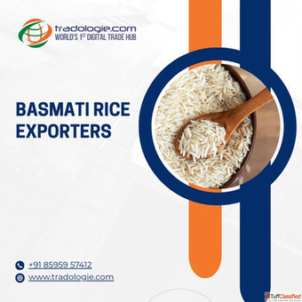 Basmati Rice Exporters Supplying Premium Indian Aromatic Rice to Global Markets