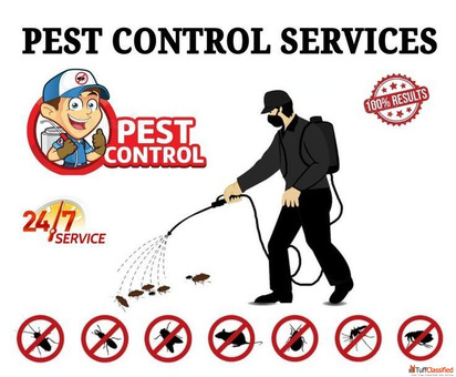 SewaZone - Pest Control Services in Lucknow