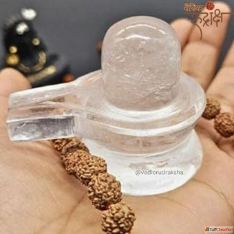 Vedic Rudraksha Spiritual Protection Authenticity Benefits