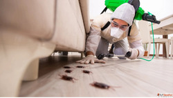 Best Pest Control Services in Hyderabad - AJL Pest Control