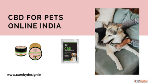 CBD for Pets Online India Trusted Wellness Solutions