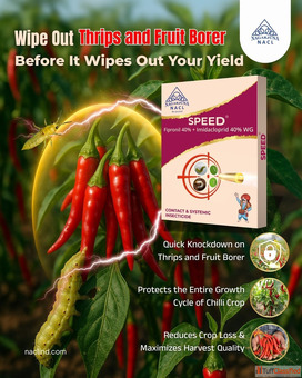Best Insecticides for Thrips in Crops Speed NACL Industries